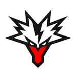 Аватар канала Team Yandex MLBB