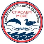 Аватар канала Штаб "Дельфины" Спасаем море. п.Волна 🐬 Новости "Центр Развития Культуры и Инноваций"