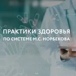 Аватар канала Открытые занятия Центра М.С. Норбекова