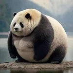 Аватар канала FAT PANDA CONFESSION 21+ NSFW + (NON)DAILY [ 🐼 🎍 ]