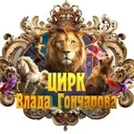 Аватар канала ЦИРК ВЛАДА ГОНЧАРОВА