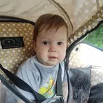 Аватар канала Моя семья и коты)