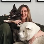 Аватар канала Тайная комната дилера