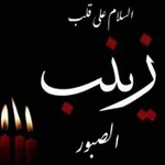 Аватар канала 😭 قناة الحوراء زينب (ع) 😭
