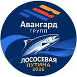 Аватар канала Avangard group