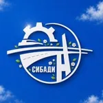 Аватар канала Университет СибАДИ | Сибирский государственный автомобильно-дорожный университет