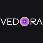Аватар канала VEDORA