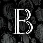 Аватар канала BAKTYGALIYEV BLOG