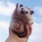 Аватар канала 허위정보채널