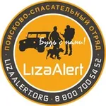 Аватар канала ЛизаАлерт