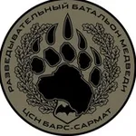 Аватар канала ОСпН "МЕДВЕДИ" 🇷🇺