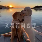 Аватар канала 文案馆向西走/头像/素材
