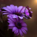 Аватар канала Love Wins!!!! 💜