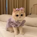 Аватар канала مخطوطاتي•••