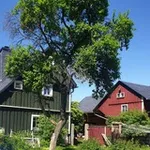 Аватар канала Heidi's Naturheilmittel