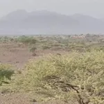 Аватар канала قنات الصمت