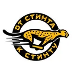 Аватар канала От стинта к стинту