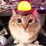 Аватар канала илюша я