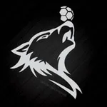 Аватар канала ⚽ Sport Bad News