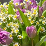 Аватар канала Домик Мю