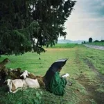 Аватар канала أثـرٌ وبصمةْ ||غزة|| 🍀