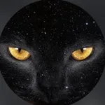 Аватар канала Обаяние лунного света
