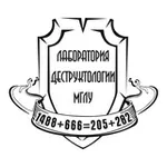 Аватар канала Первый деструктологический