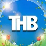 Аватар канала ТНВ Татарча