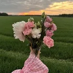 Аватар канала رَاء 🌿