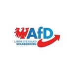 Аватар канала AfD Brandenburg