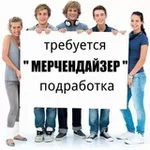 Аватар канала Мерчендайзеры Подработка