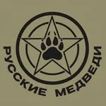 Аватар канала Русские Медведи 🐻