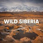 Аватар канала WILD RUSSIANS | СИБИРЬ
