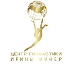 Аватар канала Центр Гимнастики Ирины Винер