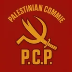 Аватар канала Palestinian Commie