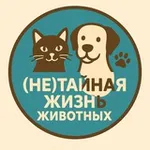 Аватар канала (Не)тайная жизнь животных