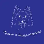 Аватар канала Приют Академгородка