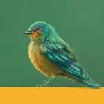 Аватар канала Непонятная, но милая дичь | К.А.Терина