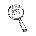 Аватар канала PUPA KEK
