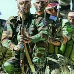 Аватар канала البرع اليماني والحالات الجهادية