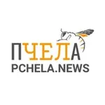 Аватар канала Пчеланьюс