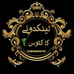 Аватар канала لینکدونی🍒چتکده🔥کاکتوس🌵