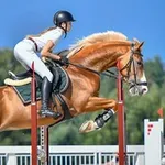 Аватар канала ЭКВИПРЕСС ФОТО //Информационное агенство // Руднева Ольга & Евгений Адеев