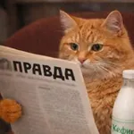 Аватар канала Правда и котики.