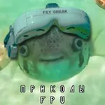 Аватар канала FPV приколы