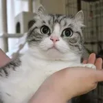 Аватар канала Komaru 🌱