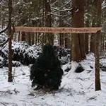 Аватар канала лесное царство, грибные переговоры