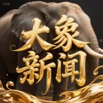 Аватар канала 东南亚吃瓜 - 大象新闻 🐘