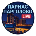 Аватар канала 🌆 Парнас и Парголово Live