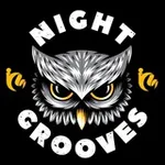 Аватар канала NIGHT GROOVES